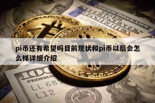 pi币还有希望吗目前现状和pi币以后会怎么样详细介绍-第1张图片-欧意下载