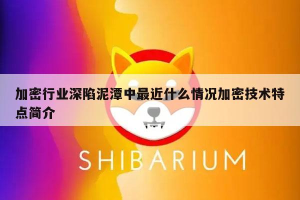 加密行业深陷泥潭中最近什么情况加密技术特点简介-第1张图片-欧意下载