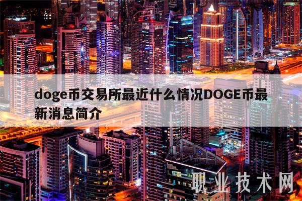 doge币交易所最近什么情况DOGE币最新消息简介-第1张图片-欧意下载