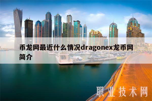 币龙网最近什么情况dragonex龙币网简介-第1张图片-欧意下载