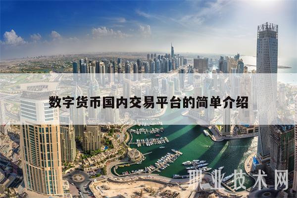 数字货币国内交易平台的简单介绍-第1张图片-欧意下载