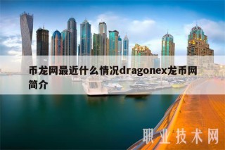 币龙网最近什么情况dragonex龙币网简介