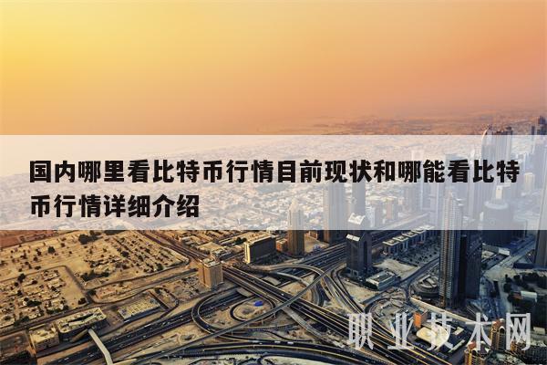 国内哪里看比特币行情目前现状和哪能看比特币行情详细介绍-第1张图片-欧意下载
